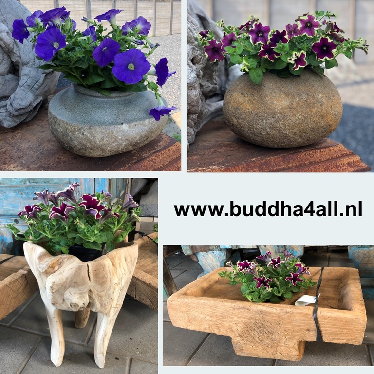 bloempotten display1.jpg bloempotten display1.jpg