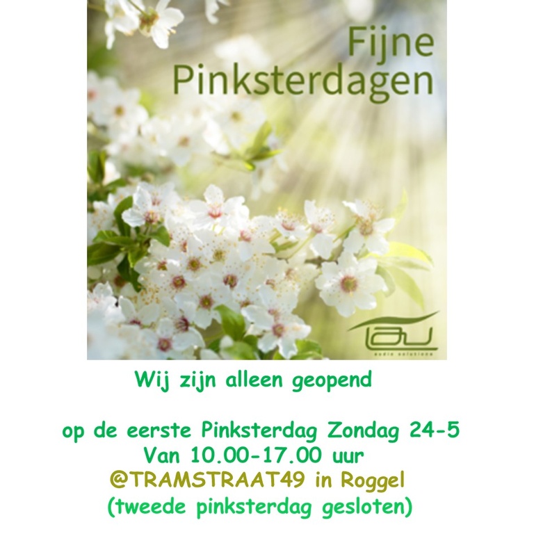 pinsterdag B.jpg