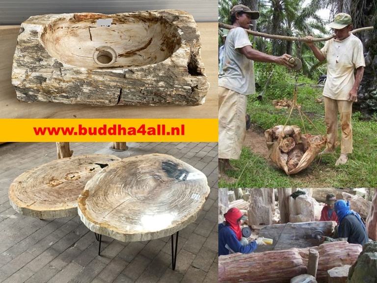 versteend hout display 1.jpg