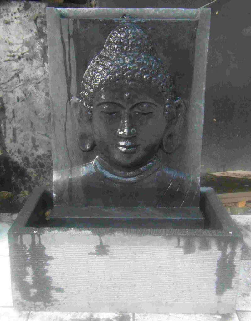 Dicteren Inefficiënt Scepticisme water-ornamenten boeddha deel 1 - Buddha4all - Thijs Noldus Art of Nature