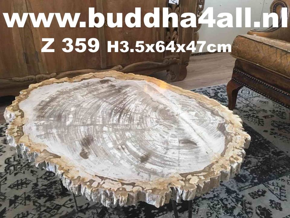 item Microbe Geelachtig Versteend hout schijven en tafels - Buddha4all - Thijs Noldus Art of Nature